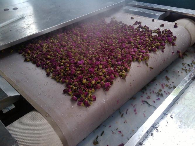 中国工厂销售直接食品干燥机花生豆粒烘焙膨化设备